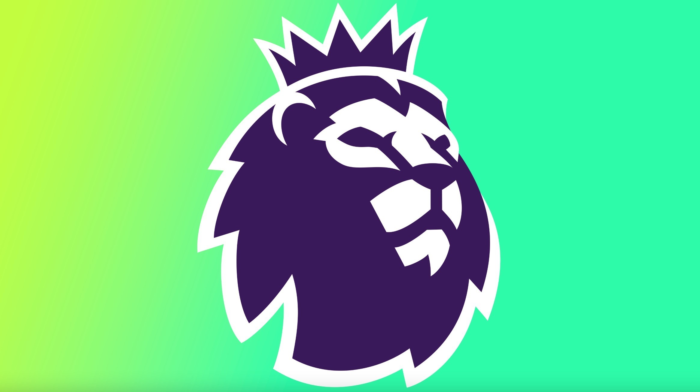 不可或缺的 不可或缺的