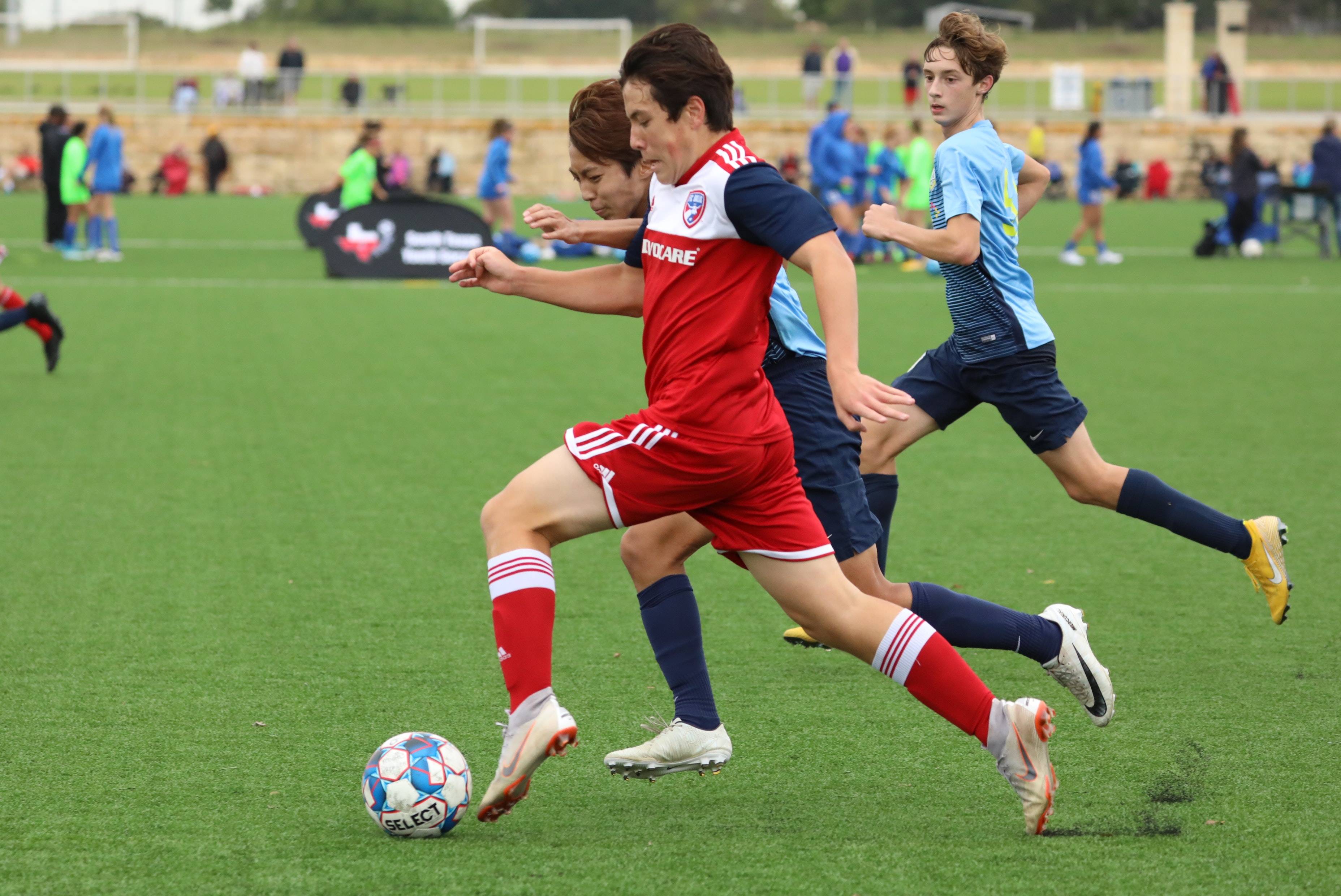 安排为伊尼 安排为伊尼